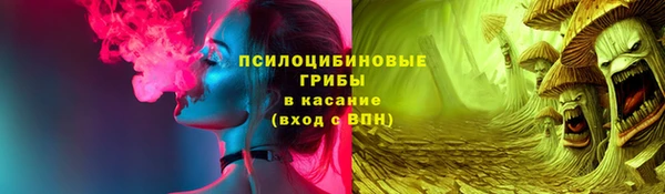 spice Покачи