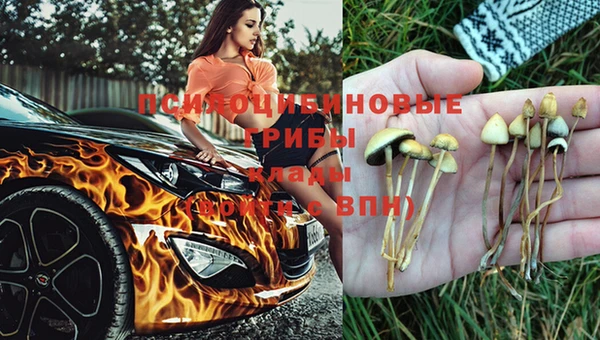 ПСИЛОЦИБИНОВЫЕ ГРИБЫ Дмитровск