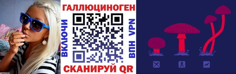 Галлюциногенные грибы Psilocybine cubensis  Заволжск 
